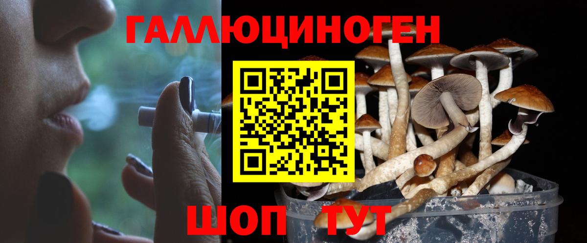 Псилоцибиновые грибы прущие грибы  Вход с VPN  Кунгур 
